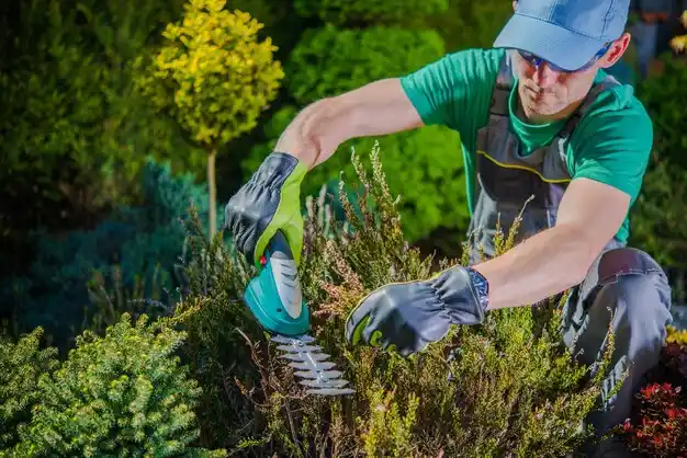 landscaping services Sidney
